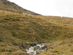 wild stream along the hills