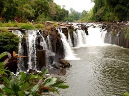 Beautiful waterfalls in the wild forest