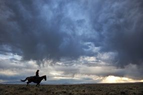 cowboy riding a horse during sunset