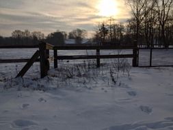 Beautiful winter landscape with fence near the trees and snow at the sunlight