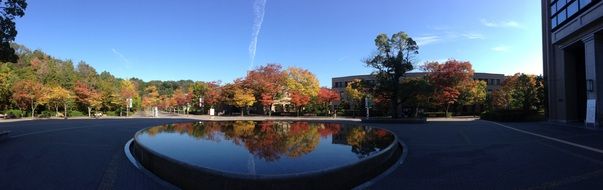 broken fountain in arboretum