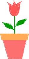 potted red tulip