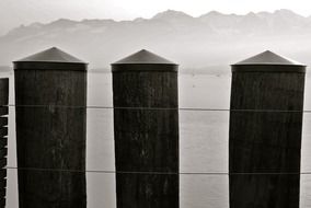 Landscape of wooden posts