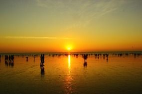 People on the ocean coast at sunset