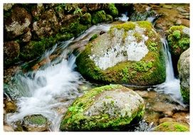 Green rocks in the river