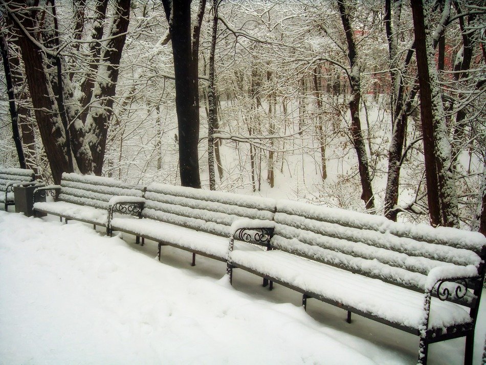 Benches in the snowy park