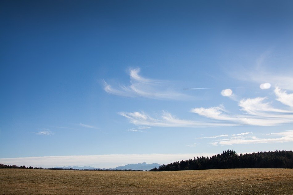 Field in the background of the Alpine landscape