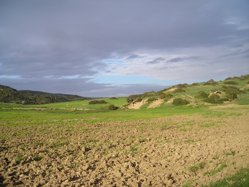 meadows on a hill in Cyprus