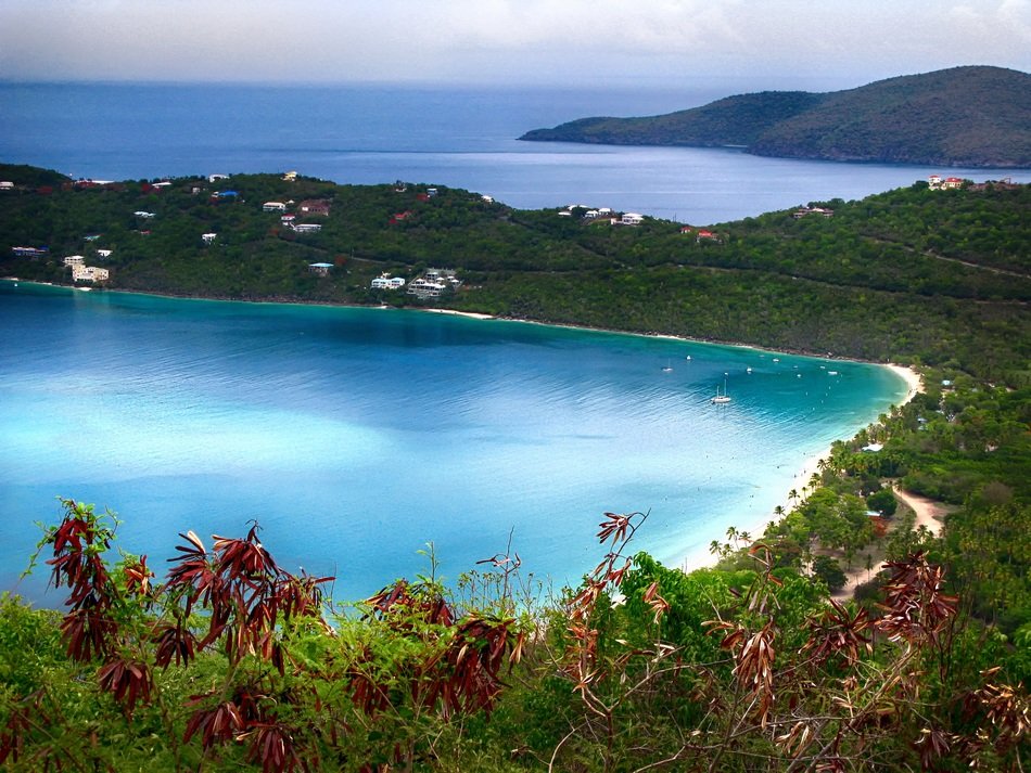 blue bay at beautiful coast of caribbean sea