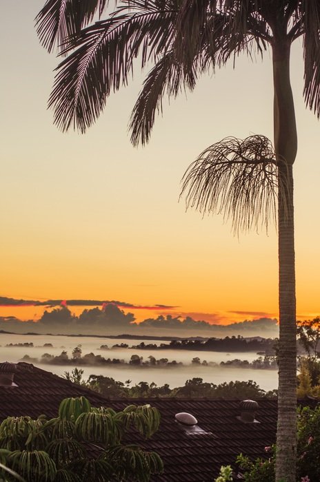 fog on the tropical coast at sunrise