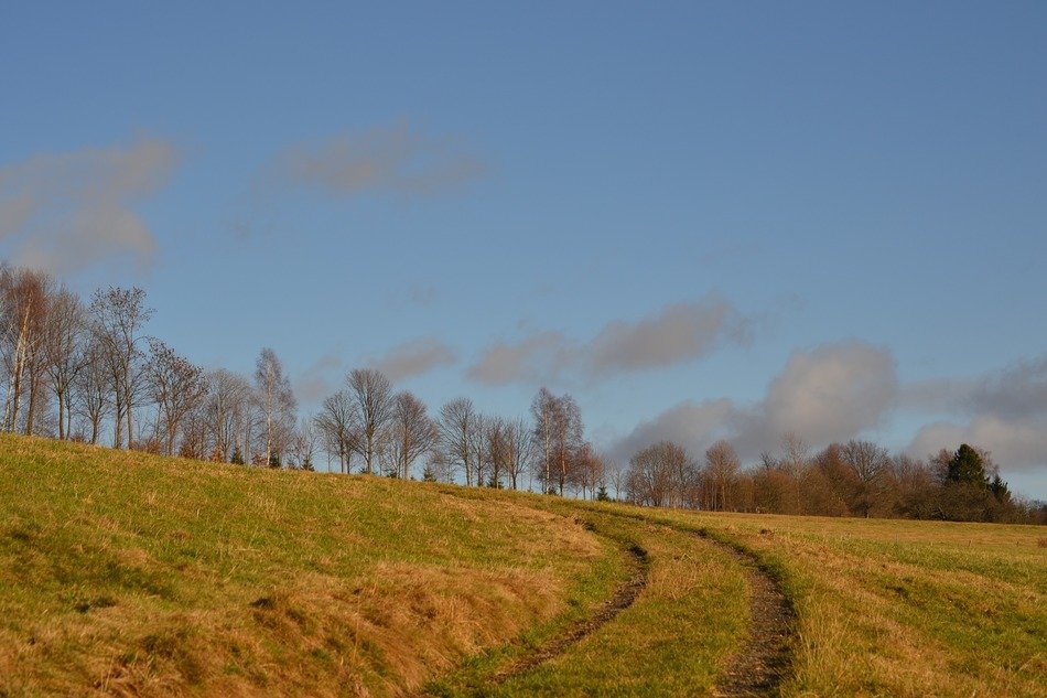 away field meadow cloud blue trees