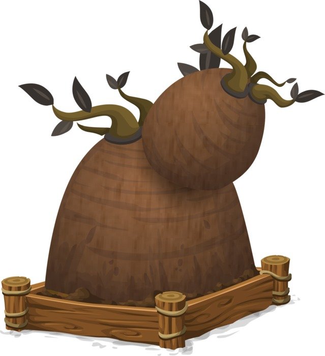 Drawing of big root growing in the garden