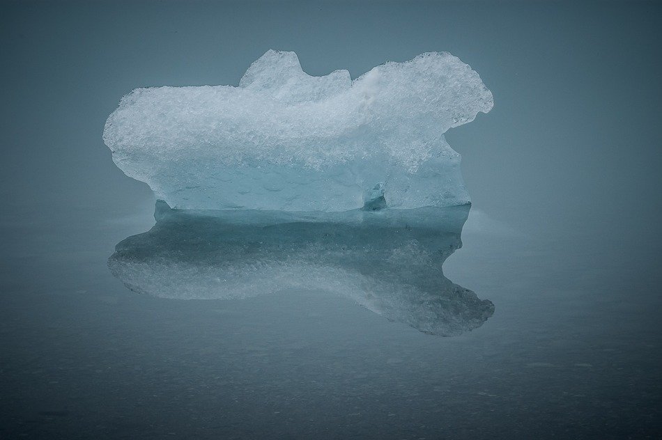 ice sculpture on the water