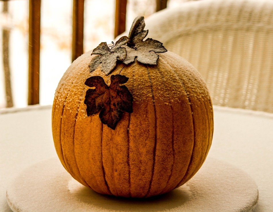 frozen pumpkin on the table in the garden