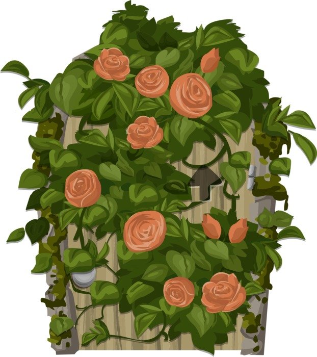 drawing of orange roses and grapevine