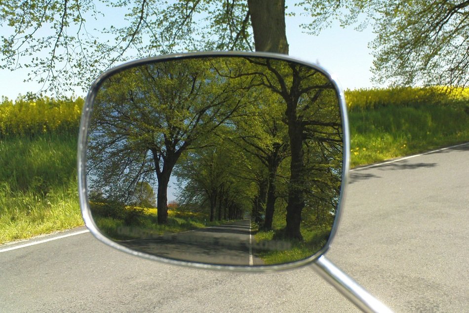 trees are reflected in the rearview mirror