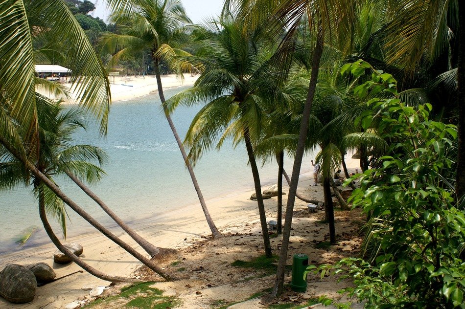 Secluded tropical beach free image download