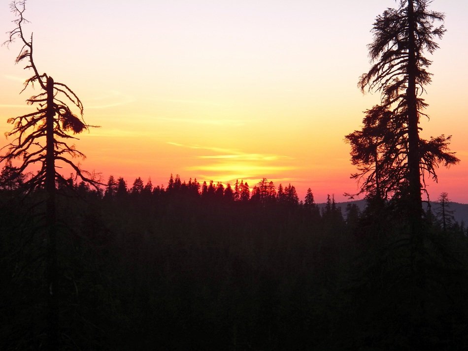 pink-yellow sunset over the forest in California