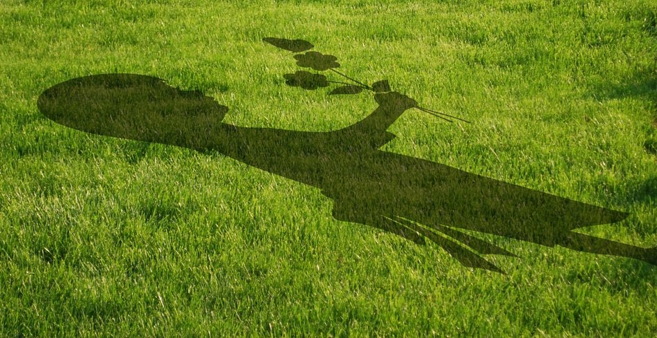 Shadow of the girl on the grass