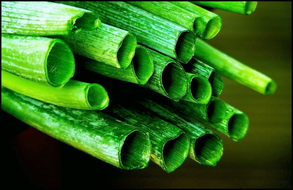 leek from the greenhouse