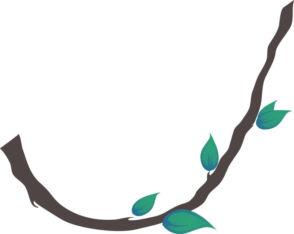 Drawing of flexible liana stem