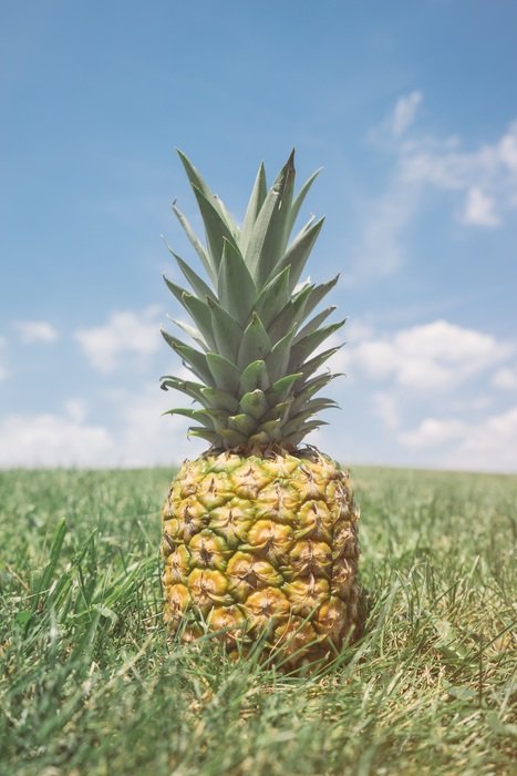 pineapple on the grass