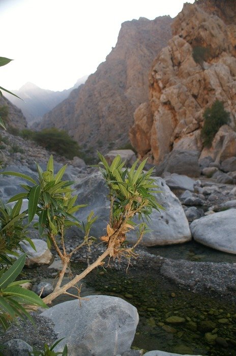 panorama of wadi in oman