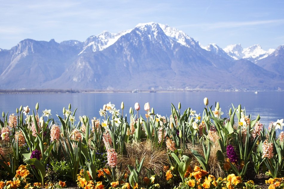 Nature in Switzerland