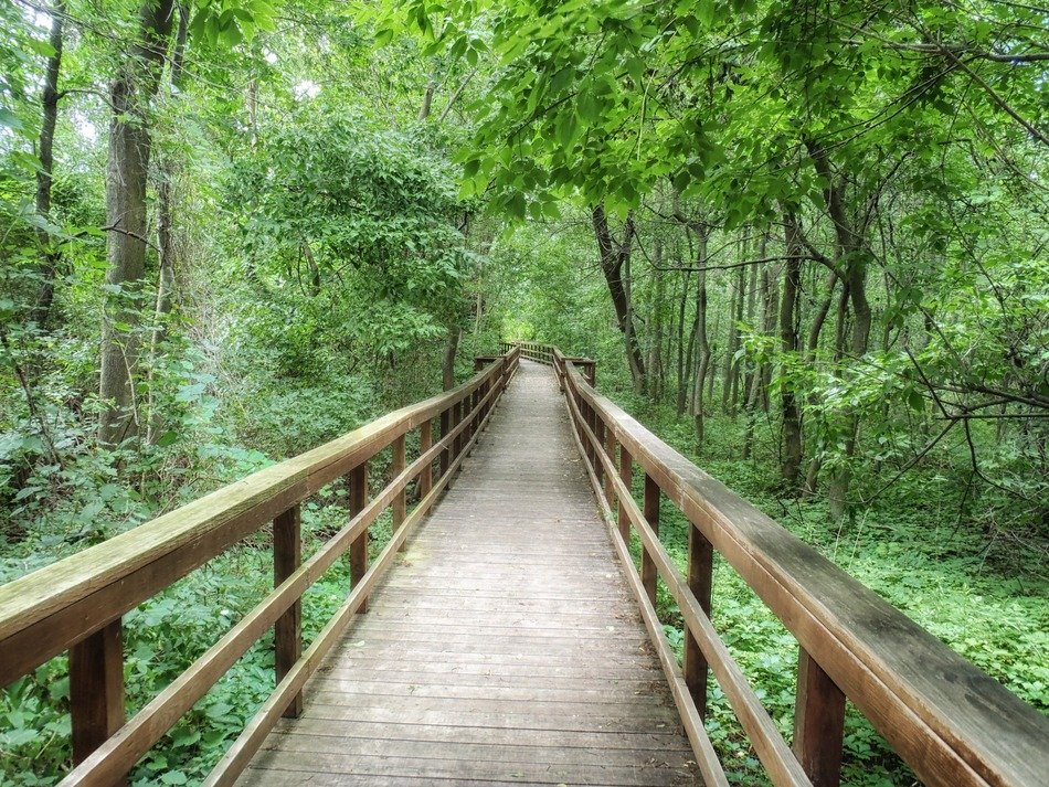 long wooden walkway in a park in west seneca, new york