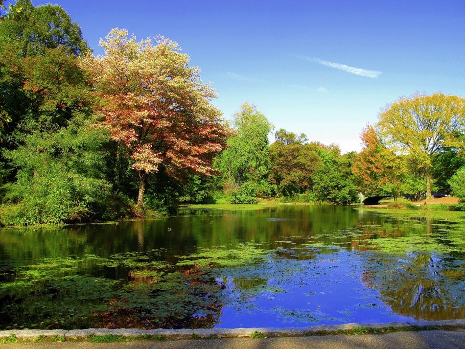 prospect park brooklyn