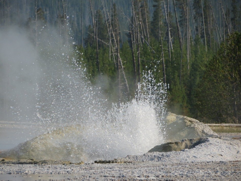 amazing geyser in a national park