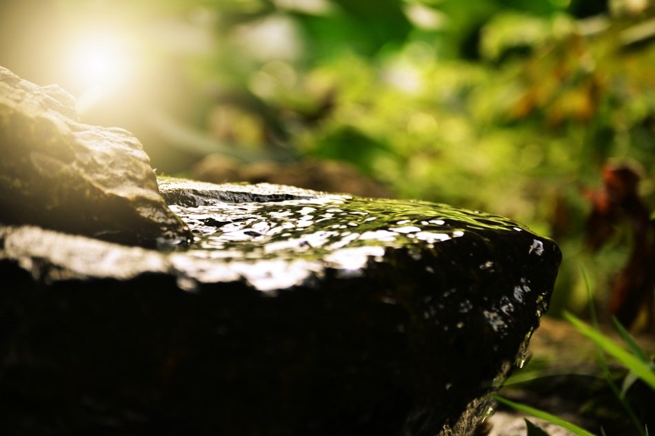 wet stone in nature close-up on blurred background
