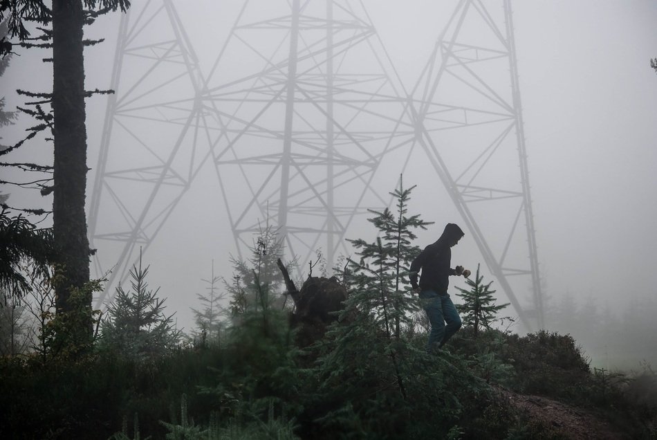 Person electrical supports among the plants in dense fog in Alsace, France