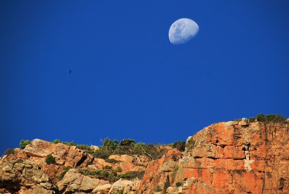 crescent over the mountains on a sunny day