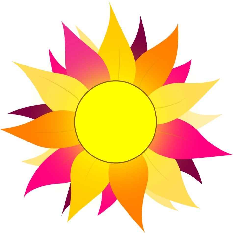 picture of a flower with colorful petals
