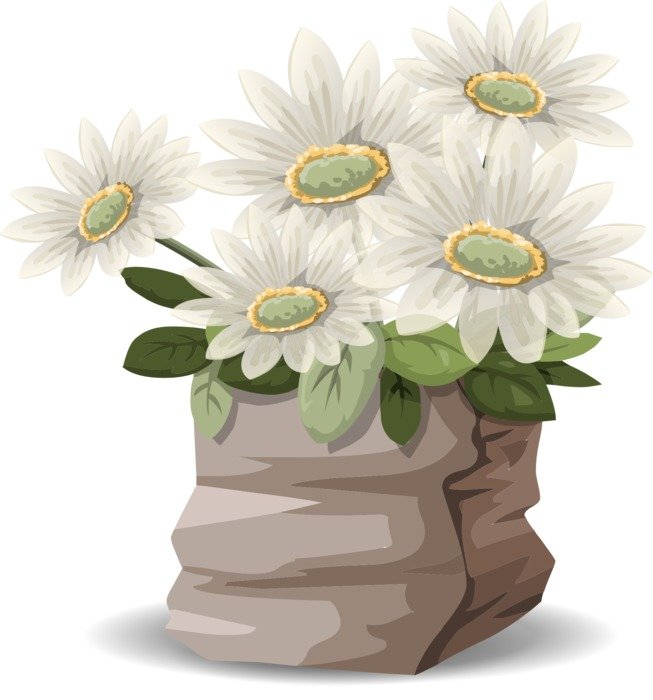 clipart, picture of nice white flowers