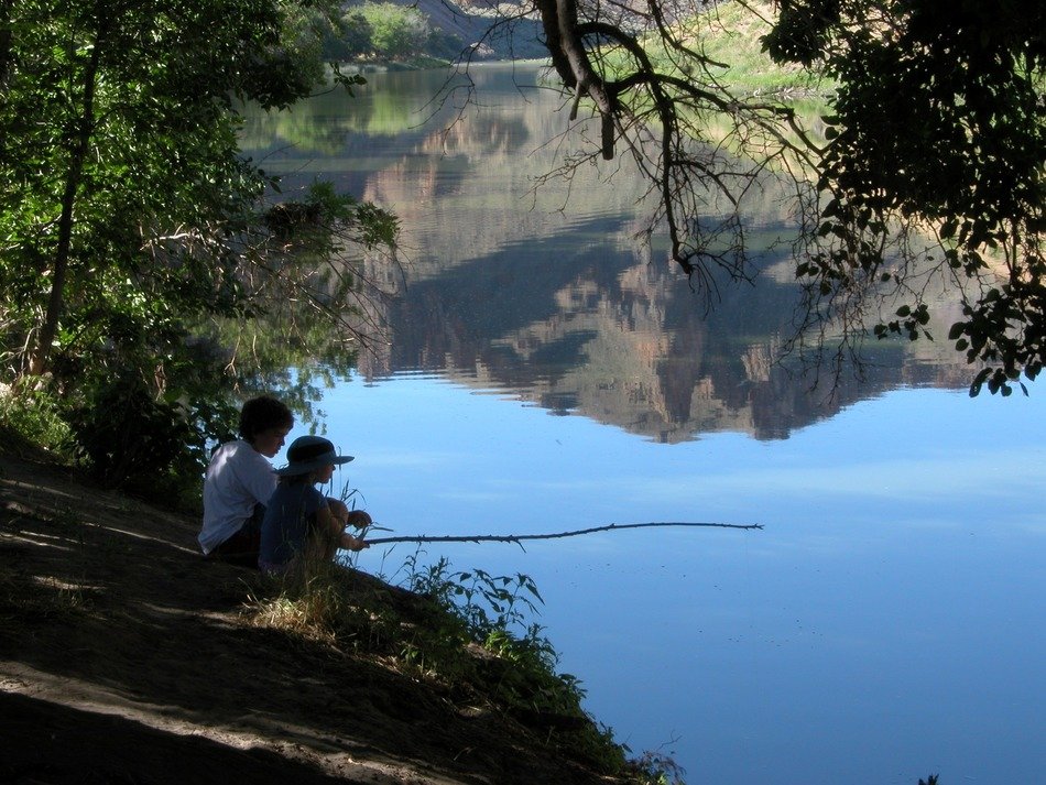 children go fishing in the lake in summer