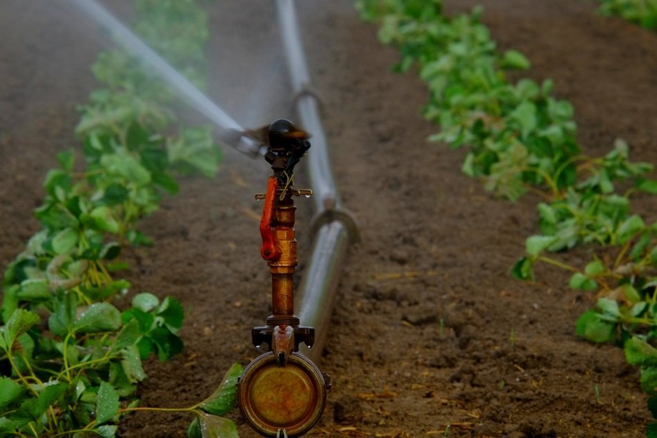 Soil moistening by irrigation