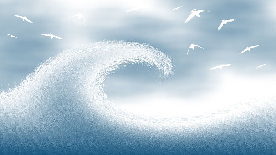 graphic image of a big wave and birds