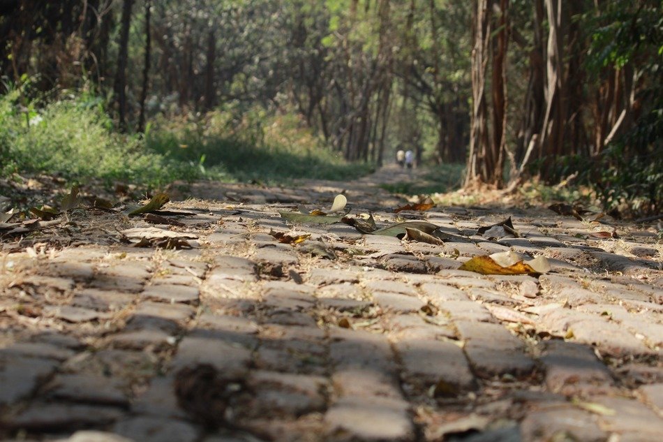 cobblestone pathway ground