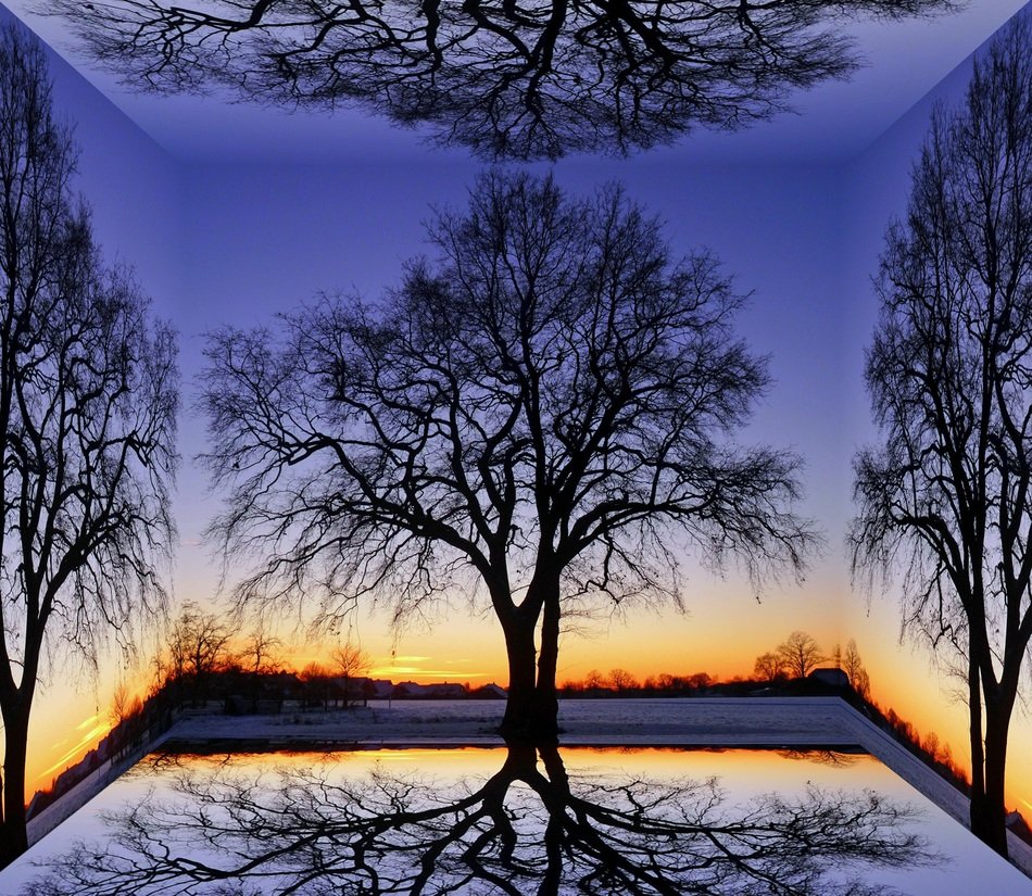 Cube Picture of tree at the sunset