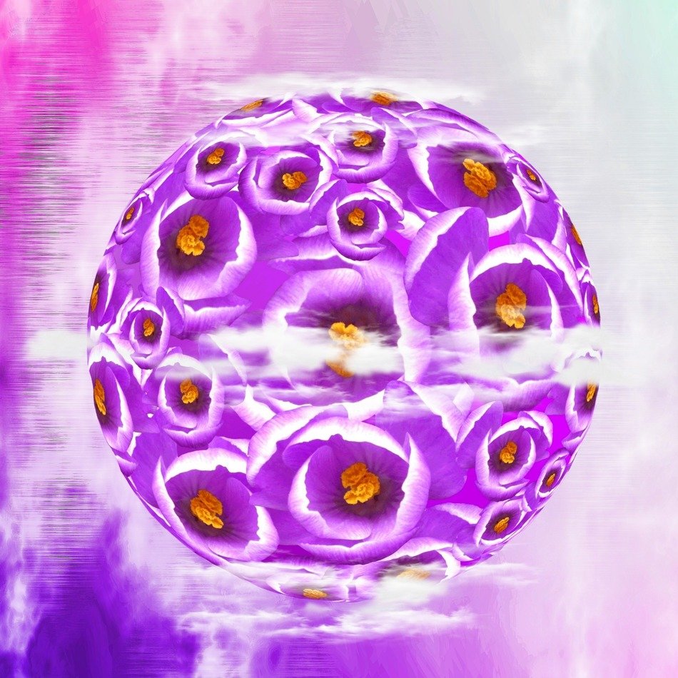 clipart of ball of purple crocus