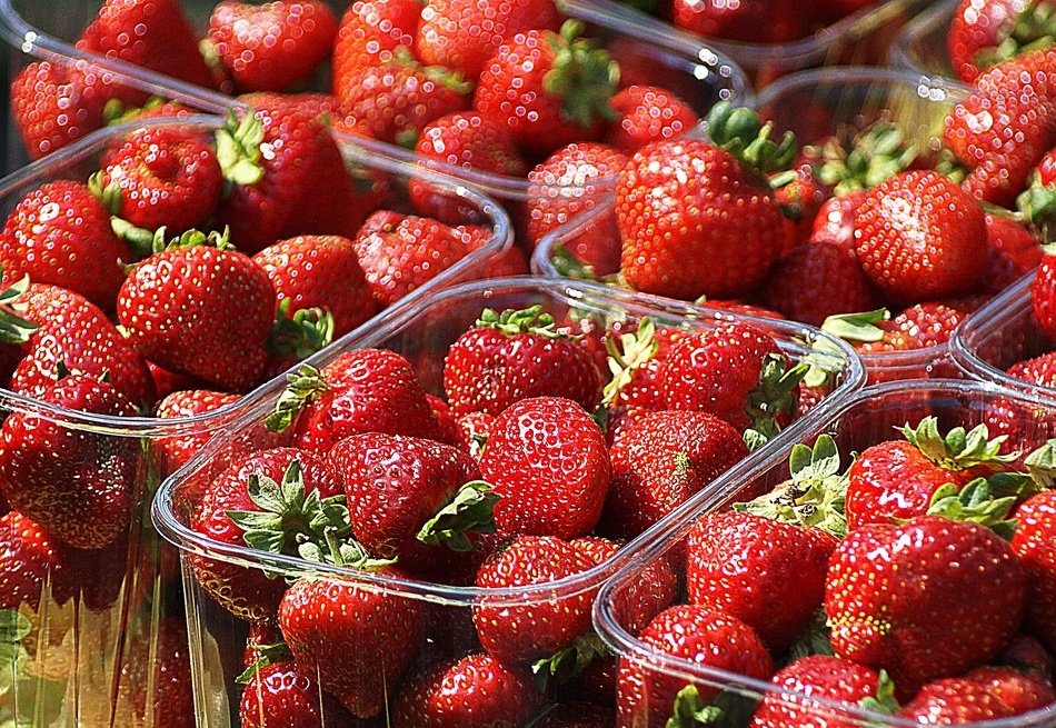 strawberries in containers