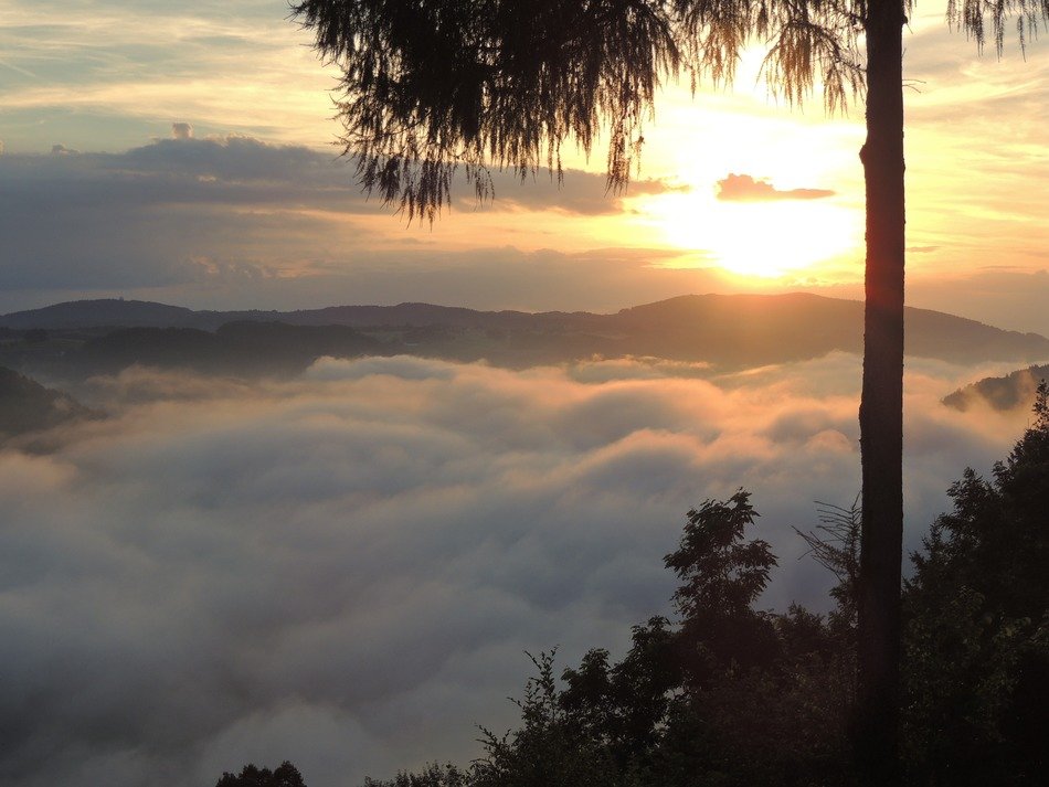 very beautiful sunset above the landscape with Danube, plants and clouds