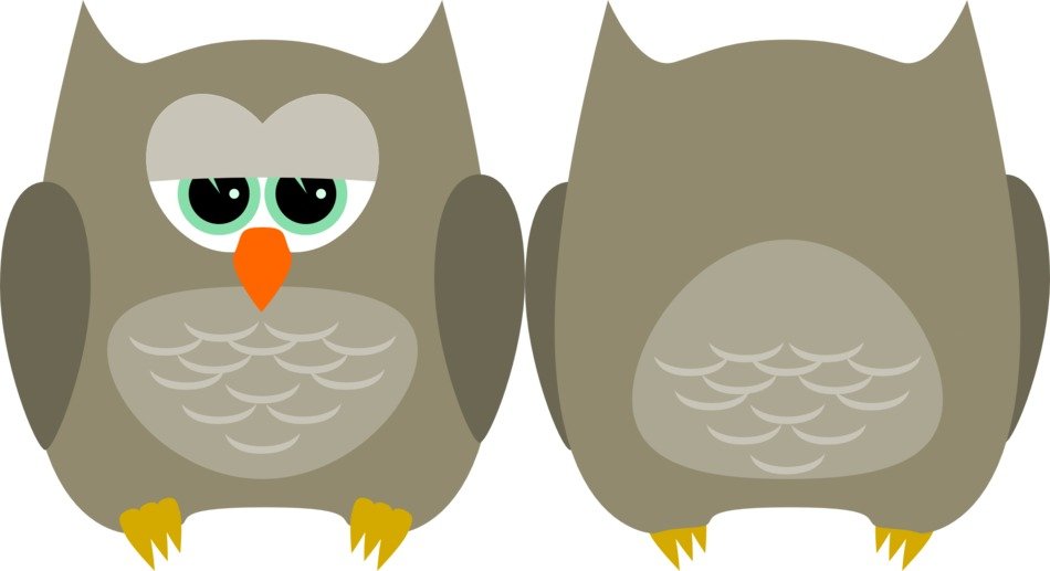 Graphics in the form of two gray owls