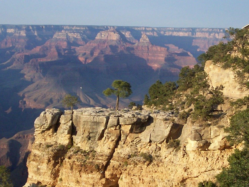 scenery of Grand Canyon, United States