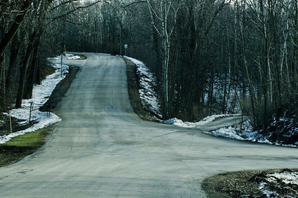 Road in the forest in winter
