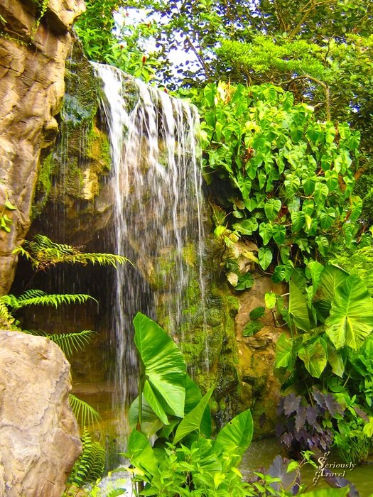 wonderful waterfall in the jungle