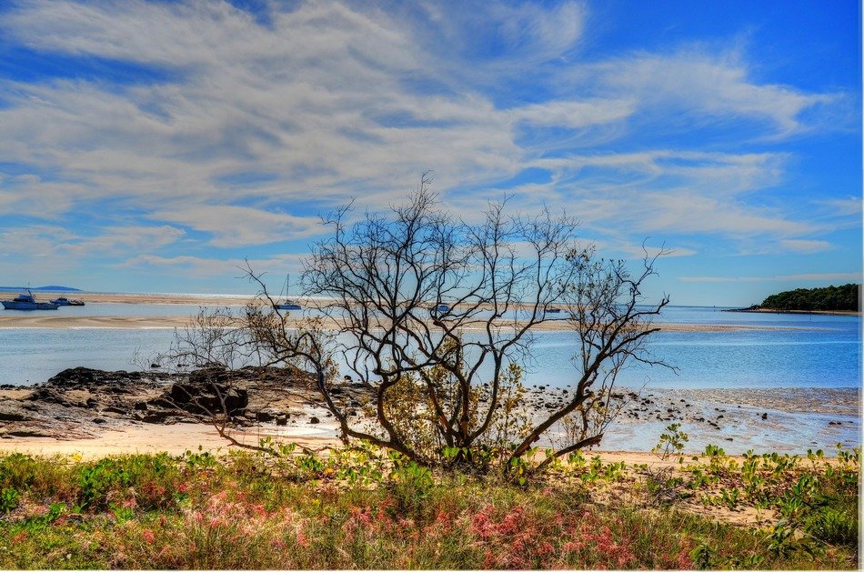 sunny coast in agnes waters