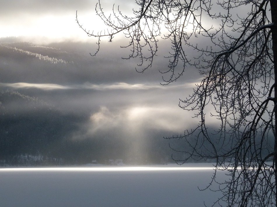 Lake Canim in the fog